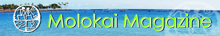 Lanai Magazine